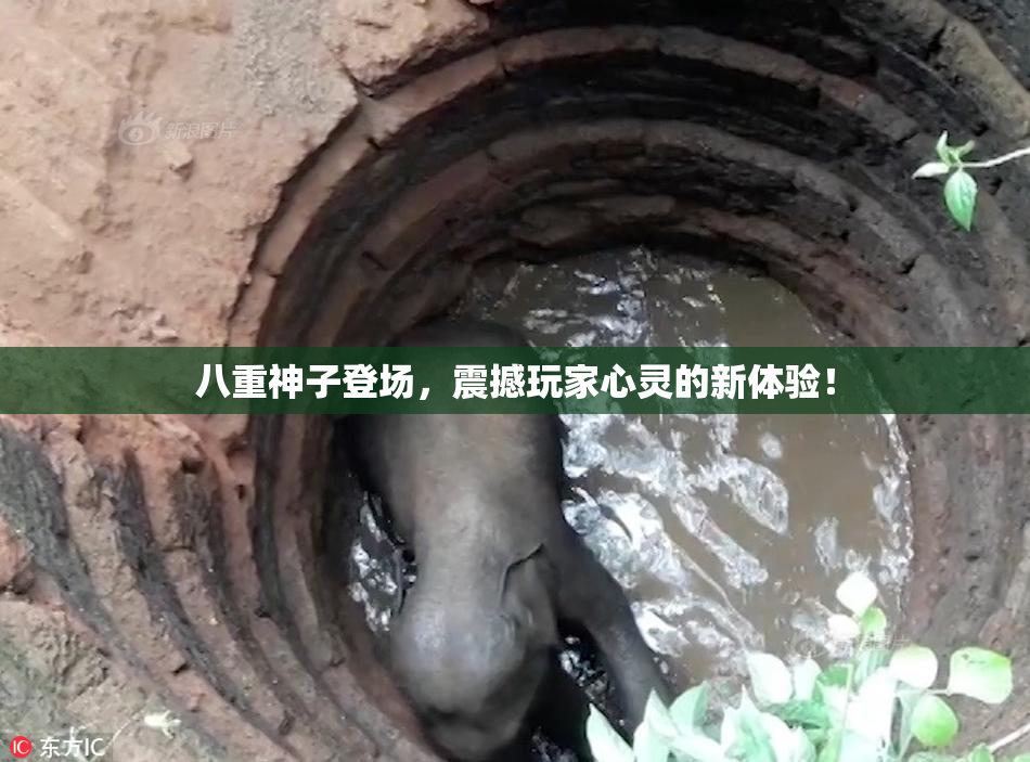 八重神子登场，震撼玩家心灵的新体验！