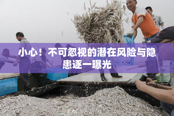 小心！不可忽视的潜在风险与隐患逐一曝光