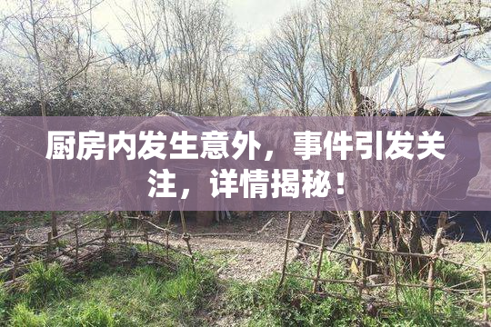 厨房内发生意外，事件引发关注，详情揭秘！