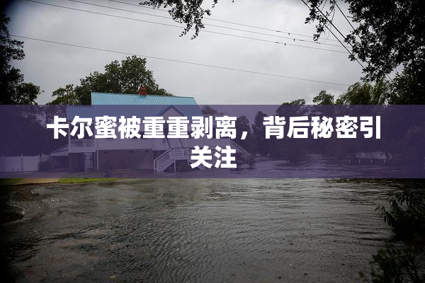 卡尔蜜被重重剥离，背后秘密引关注