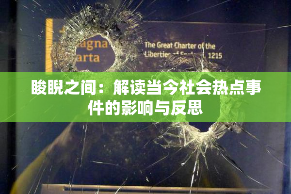 睃睨之间：解读当今社会热点事件的影响与反思