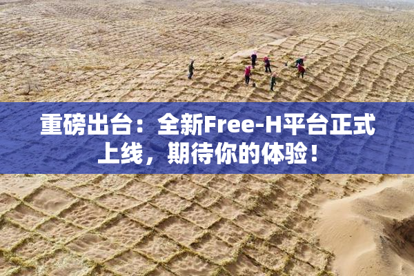 重磅出台：全新Free-H平台正式上线，期待你的体验！