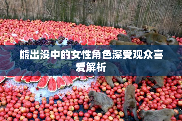 熊出没中的女性角色深受观众喜爱解析