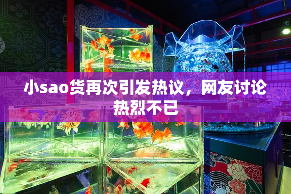 小sao货再次引发热议，网友讨论热烈不已