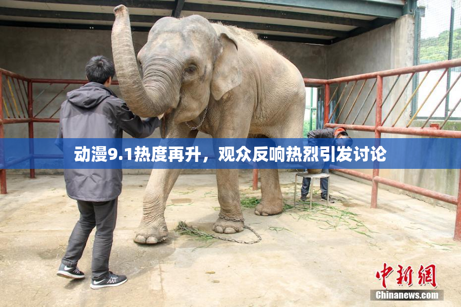 动漫9.1热度再升，观众反响热烈引发讨论