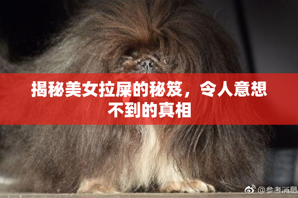 揭秘美女拉屎的秘笈，令人意想不到的真相