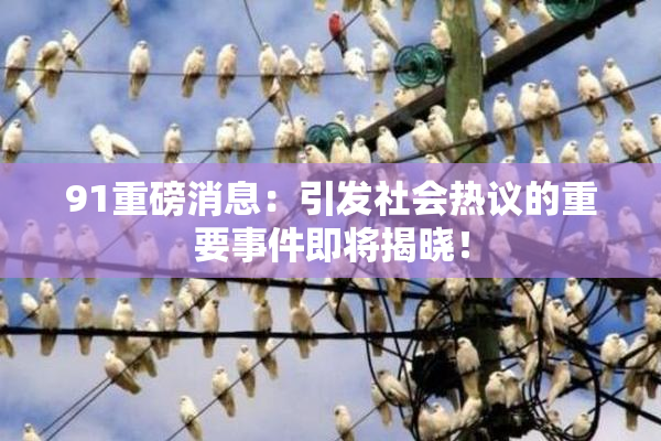 91重磅消息：引发社会热议的重要事件即将揭晓！