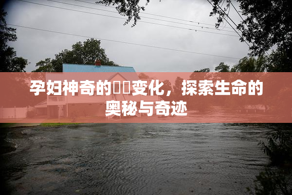 孕妇神奇的乂乄变化，探索生命的奥秘与奇迹