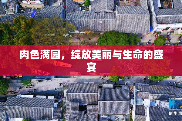 肉色满园，绽放美丽与生命的盛宴