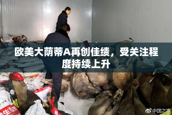欧美大荫蒂A再创佳绩，受关注程度持续上升