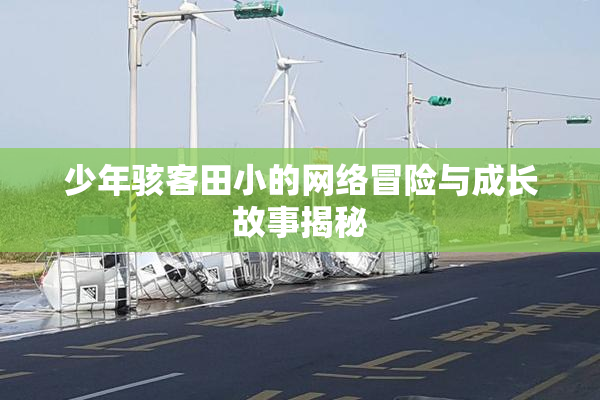 少年骇客田小的网络冒险与成长故事揭秘