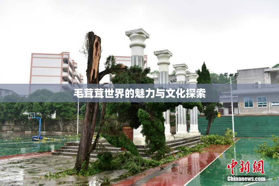毛茸茸世界的魅力与文化探索