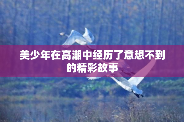 美少年在高潮中经历了意想不到的精彩故事