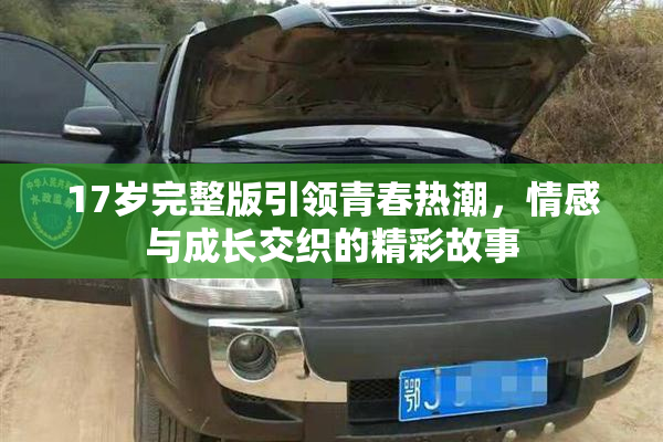 17岁完整版引领青春热潮，情感与成长交织的精彩故事
