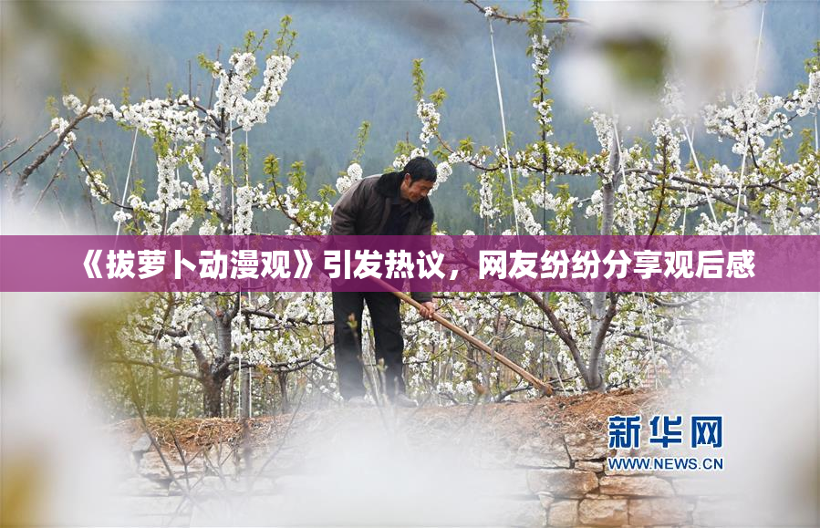 《拔萝卜动漫观》引发热议，网友纷纷分享观后感