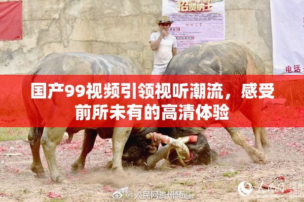 国产99视频引领视听潮流，感受前所未有的高清体验