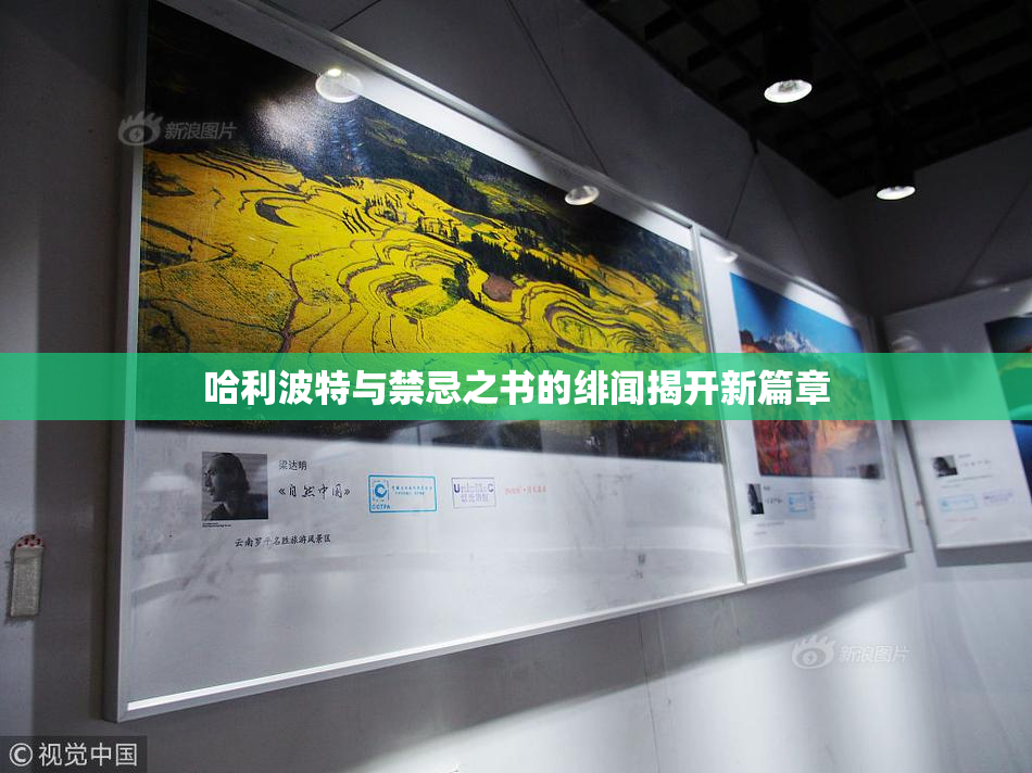 哈利波特与禁忌之书的绯闻揭开新篇章