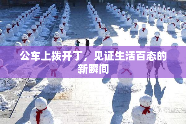 公车上拨开丁，见证生活百态的新瞬间