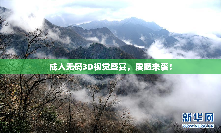 成人无码3D视觉盛宴，震撼来袭！