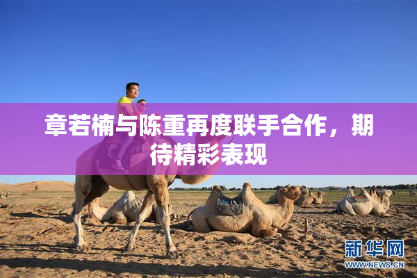 章若楠与陈重再度联手合作，期待精彩表现