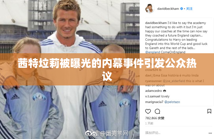 茜特垃莉被曝光的内幕事件引发公众热议