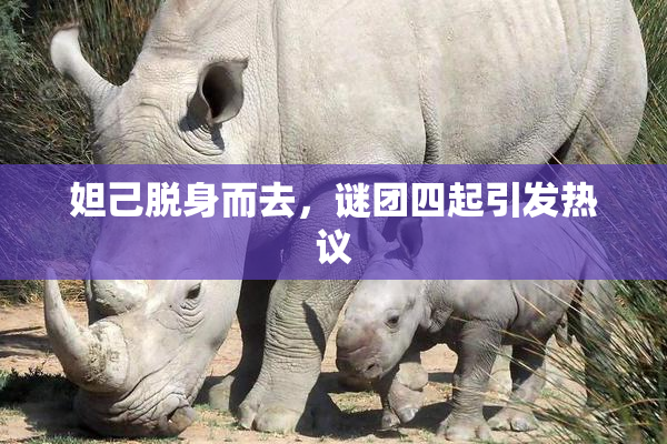 妲己脱身而去，谜团四起引发热议