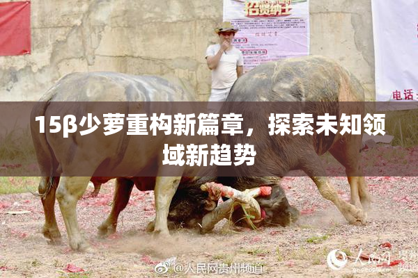 15β少萝重构新篇章，探索未知领域新趋势