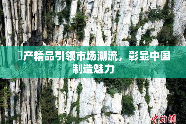 囯产精品引领市场潮流，彰显中国制造魅力