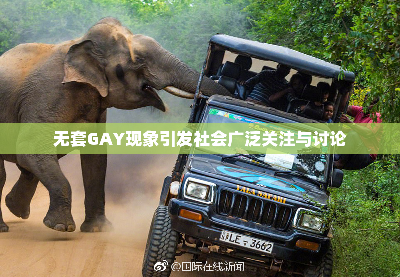 无套GAY现象引发社会广泛关注与讨论