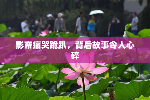 影帝痛哭跪趴，背后故事令人心碎
