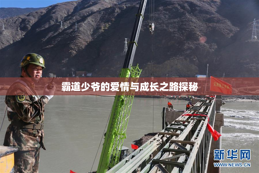 霸道少爷的爱情与成长之路探秘
