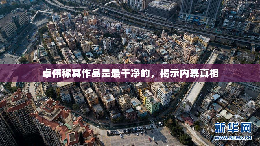 卓伟称其作品是最干净的，揭示内幕真相