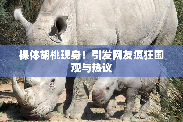裸体胡桃现身！引发网友疯狂围观与热议