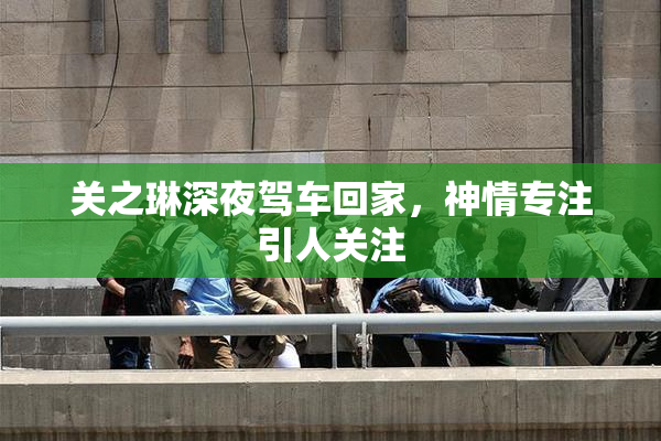 关之琳深夜驾车回家，神情专注引人关注