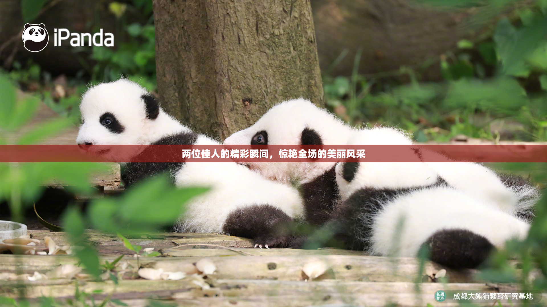 两位佳人的精彩瞬间，惊艳全场的美丽风采