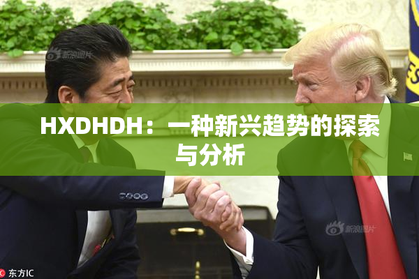 HXDHDH：一种新兴趋势的探索与分析