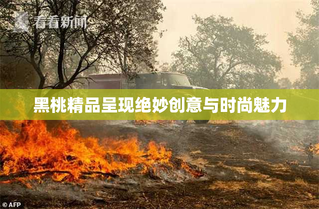 黑桃精品呈现绝妙创意与时尚魅力