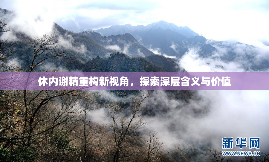 休内谢精重构新视角，探索深层含义与价值