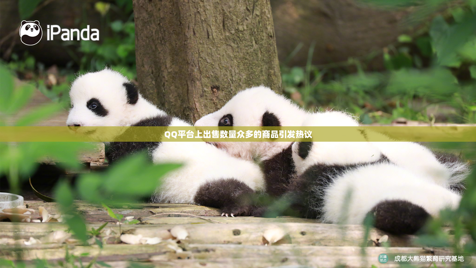 QQ平台上出售数量众多的商品引发热议
