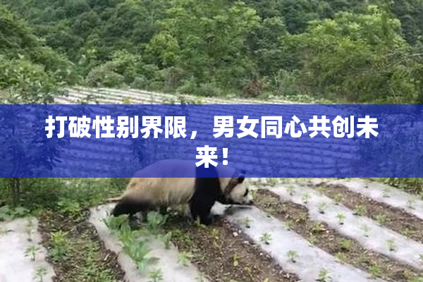 打破性别界限，男女同心共创未来！