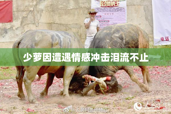 少萝因遭遇情感冲击泪流不止