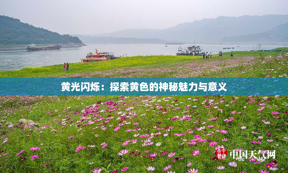 黄光闪烁：探索黄色的神秘魅力与意义