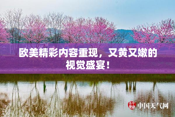 欧美精彩内容重现，又黄又嫩的视觉盛宴！