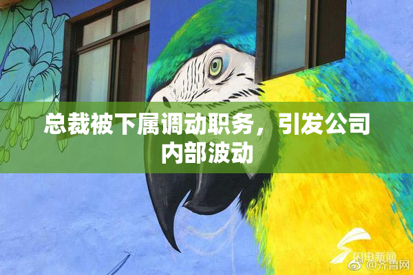 总裁被下属调动职务，引发公司内部波动
