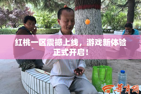 红桃一区震撼上线，游戏新体验正式开启！