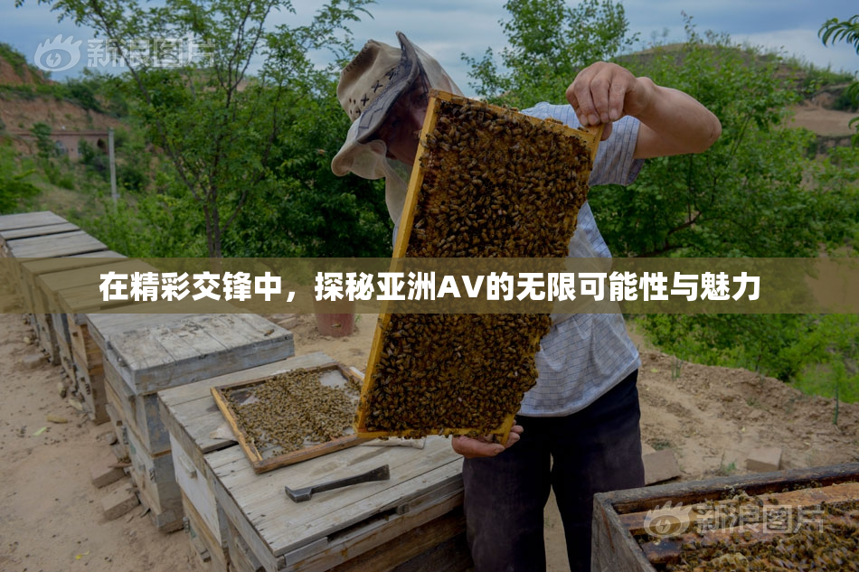 在精彩交锋中，探秘亚洲AV的无限可能性与魅力