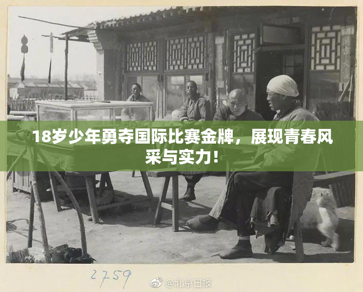 18岁少年勇夺国际比赛金牌，展现青春风采与实力！