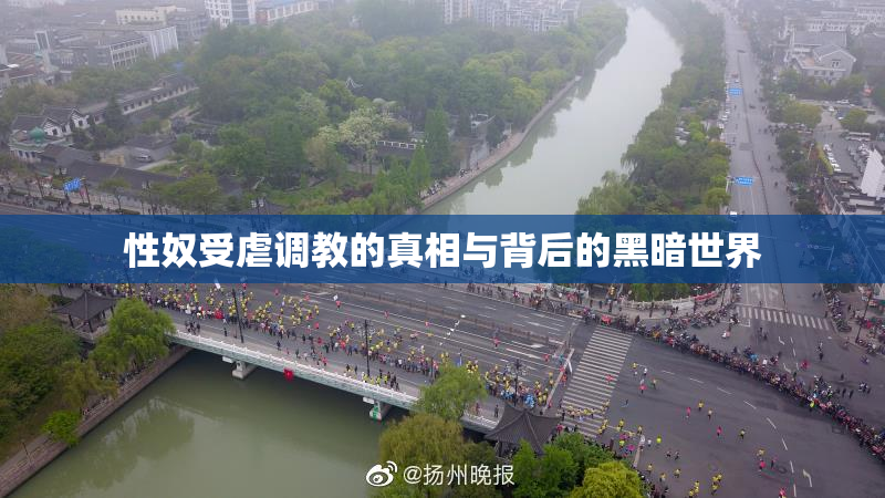 性奴受虐调教的真相与背后的黑暗世界