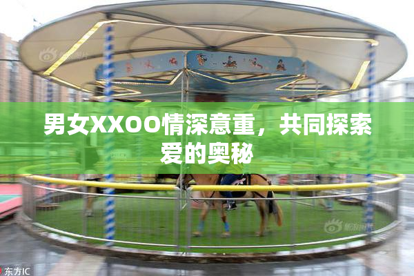 男女XXOO情深意重，共同探索爱的奥秘
