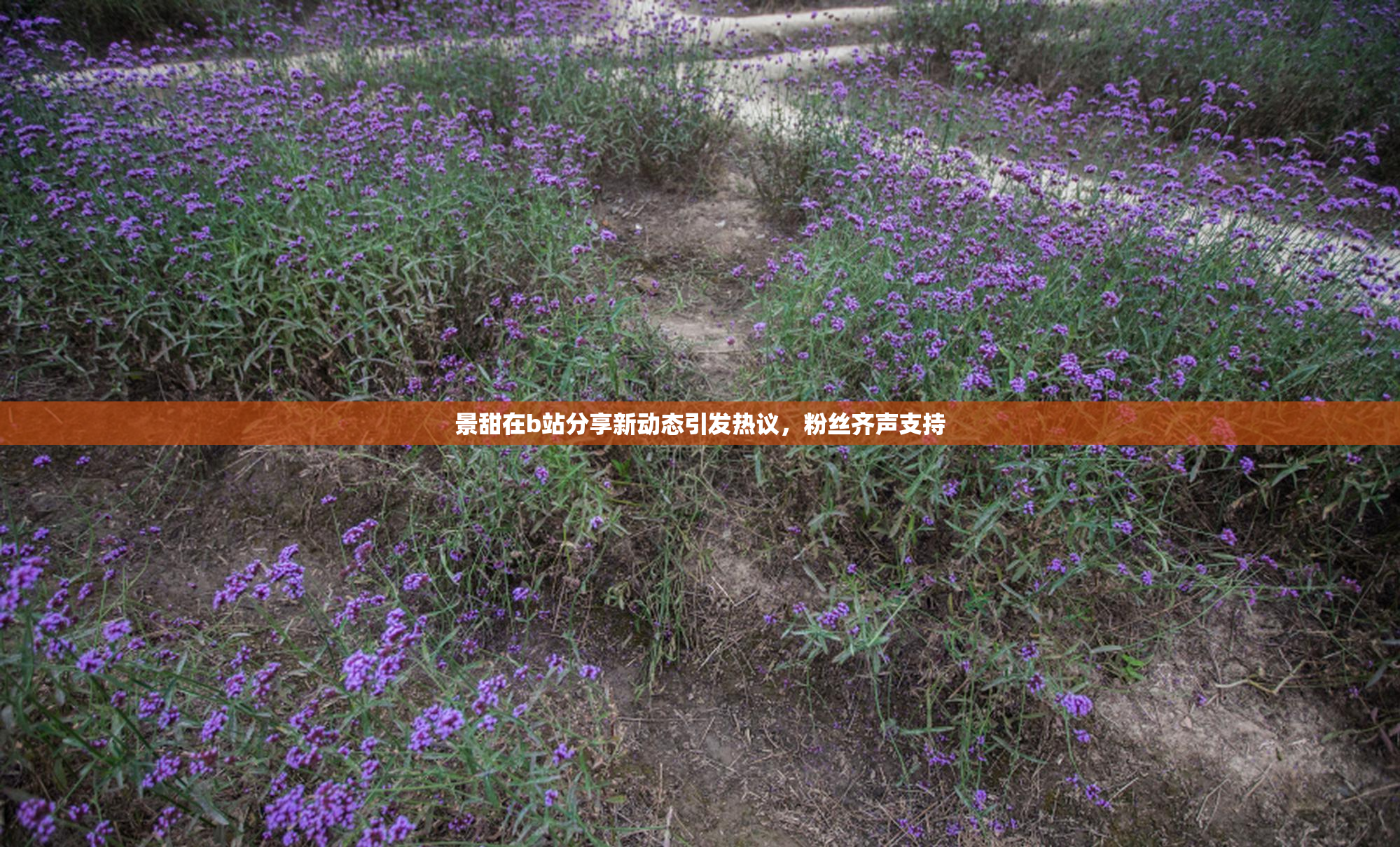 景甜在b站分享新动态引发热议，粉丝齐声支持